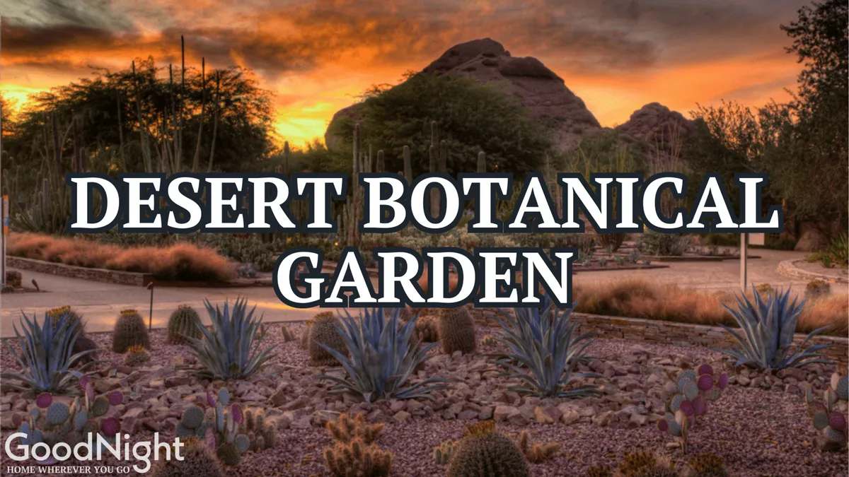 A tranquil exterior view of landscaped pathways lined with cacti and desert flora, set against a colorful sunset sky. The scene radiates the unique charm of Arizona's natural beauty, ideal for relaxing or gathering outdoors.