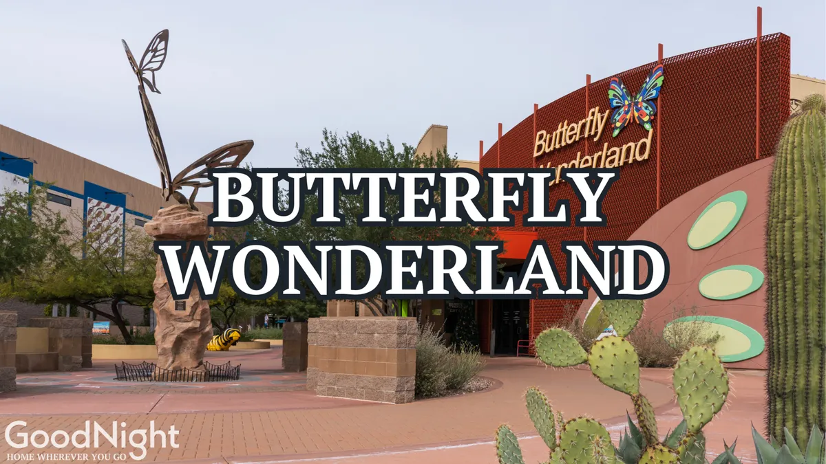 A playful exterior shot featuring a butterfly sculpture in front of a building facade surrounded by cacti. The bright, engaging scene hints at interactive exhibits and nature-themed activities, reminiscent of Butterfly Wonderland—a local attraction mentioned in the text.